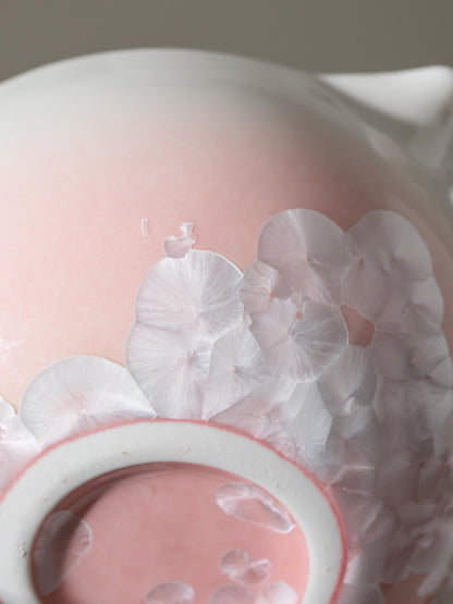 Natural Pink Flower Ideas Matcha Bowl Set product photo 3