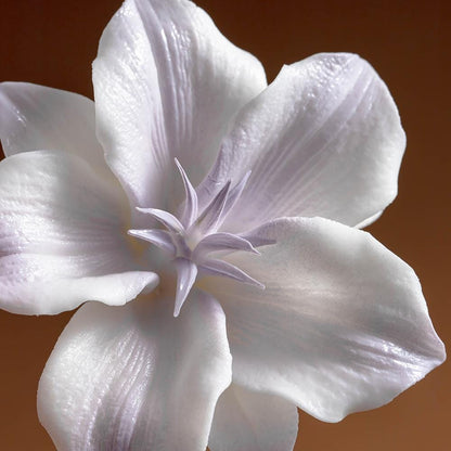Purple Lily Ceramic Incense Holder product photo 1